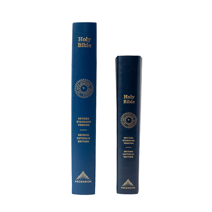 Holy Bible – The Great Adventure Catholic Bible, Large Print Version