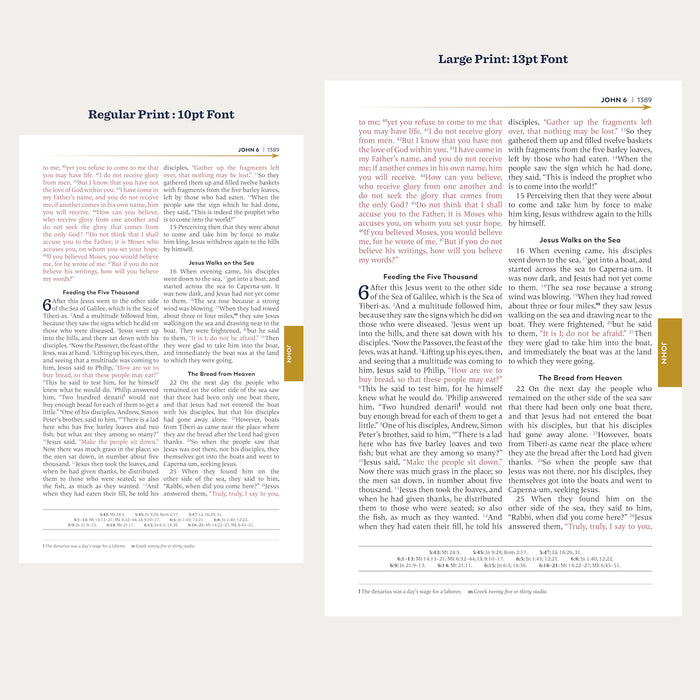 Holy Bible – The Great Adventure Catholic Bible, Large Print Version