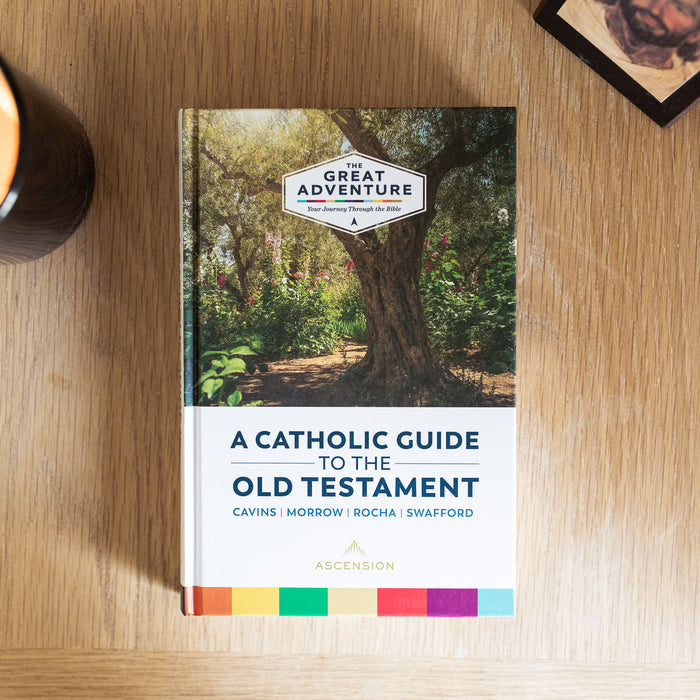 A Catholic Guide to the Old Testament