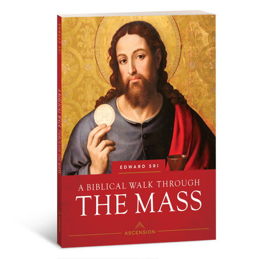 A Biblical Walk Through the Mass, Workbook