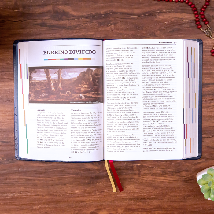 The Great Adventure Catholic Bible, Spanish Edition